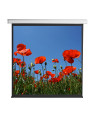 Schermo di Proiezione Motorizzato 112'' 200x200 PSA-112