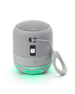 Altoparlante Wireless Speaker Portatile con Vivavoce e Luci LED Grigio