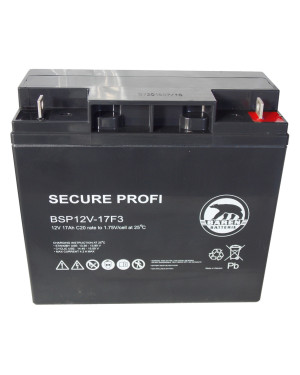 Batteria Piombo-Acido 12V 17,0Ah (Attacco a vite), BSP12V-17F3